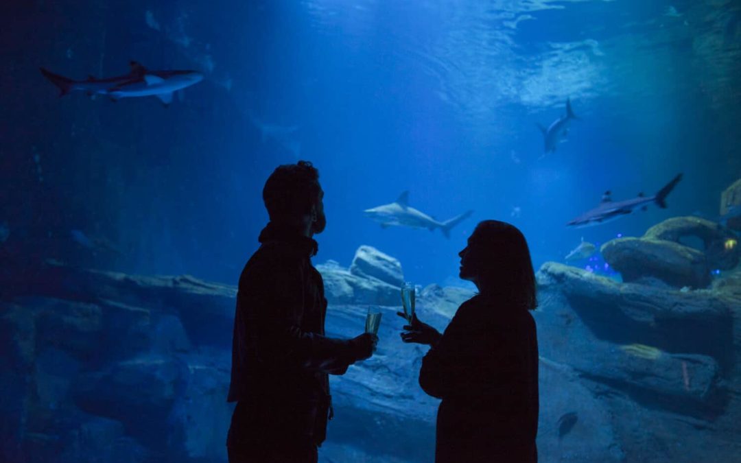 aquarium paris soirée couple